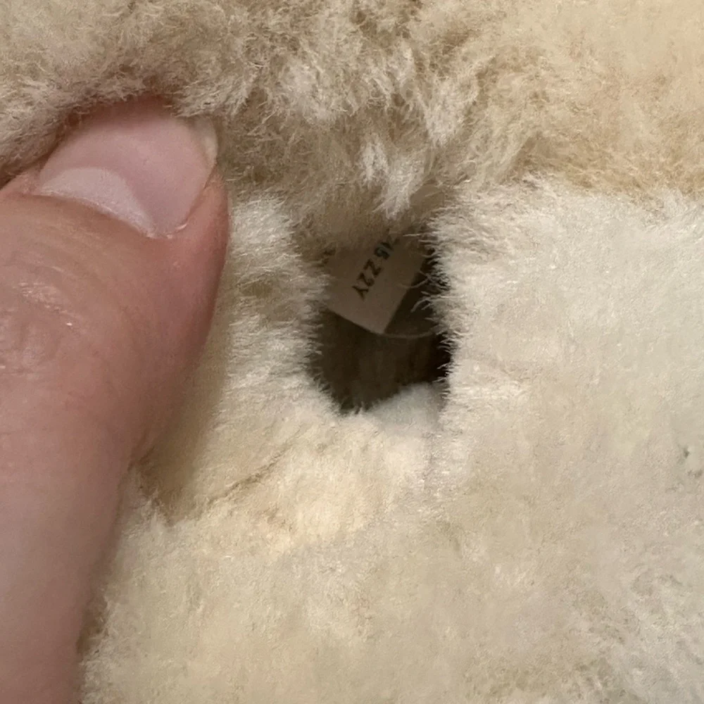 1 Ugg shoe (left)